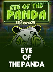 Eye Of The Panda icon